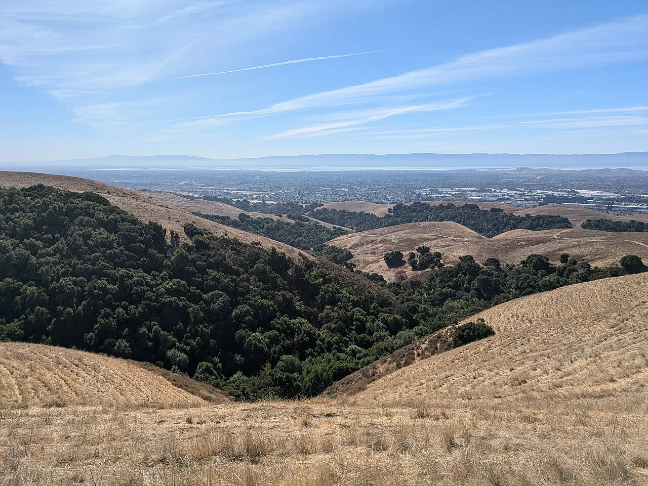 Commercial Roof Repair Planning in Union City, CA